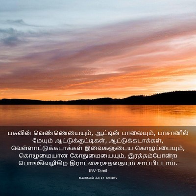 Picture 03 - உபாகமம் 32:14 TAMIRV - பசுவின் - Bible Verse Picture