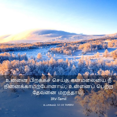 Picture 03 - உபாகமம் 32:18 TAMIRV - உன்னை பிறக்கச் - Bible Verse Picture