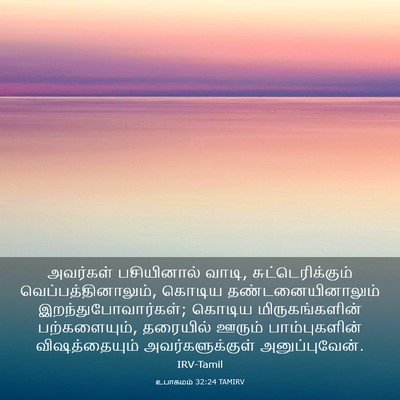 Picture 03 - உபாகமம் 32:24 TAMIRV - அவர்கள் பசியினால் - Bible Verse Picture