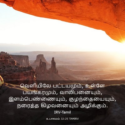 Picture 03 - உபாகமம் 32:25 TAMIRV - வெளியிலே - Bible Verse Picture