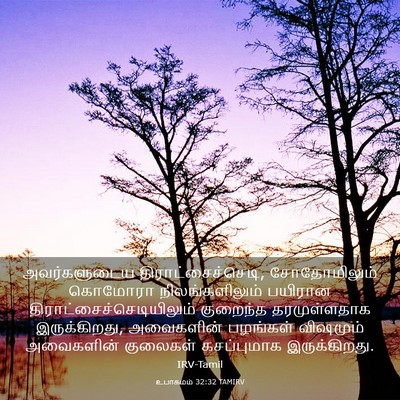 Picture 03 - உபாகமம் 32:32 TAMIRV - அவர்களுடைய - Bible Verse Picture