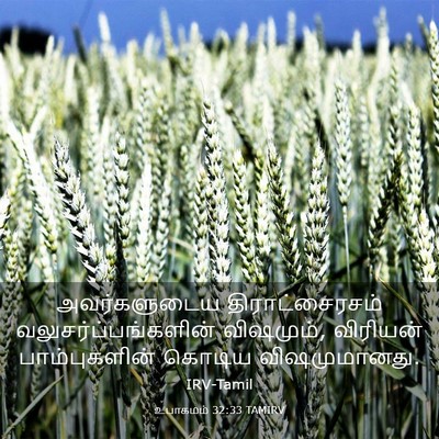 Picture 03 - உபாகமம் 32:33 TAMIRV - அவர்களுடைய - Bible Verse Picture