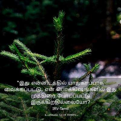 Picture 03 - உபாகமம் 32:34 TAMIRV - “இது என்னிடத்தில் - Bible Verse Picture