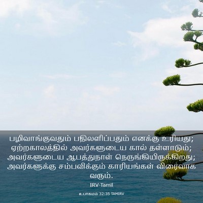 Picture 03 - உபாகமம் 32:35 TAMIRV - பழிவாங்குவதும் - Bible Verse Picture