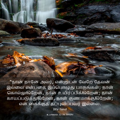 Picture 03 - உபாகமம் 32:39 TAMIRV - “நான் நானே அவர், - Bible Verse Picture
