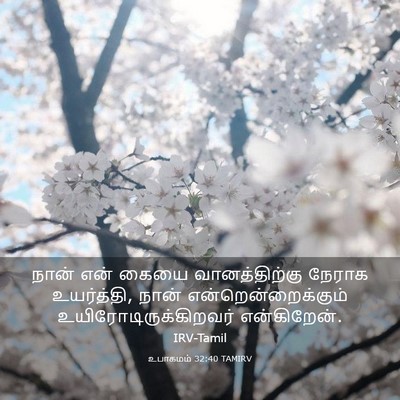 Picture 03 - உபாகமம் 32:40 TAMIRV - நான் என் கையை - Bible Verse Picture