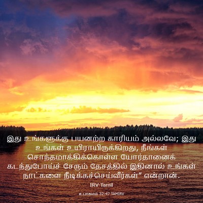 Picture 03 - உபாகமம் 32:47 TAMIRV - இது உங்களுக்கு - Bible Verse Picture