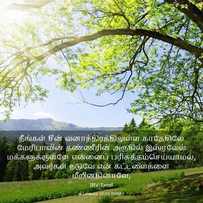 Picture 03 - உபாகமம் 32:50 TAMIRV - நீங்கள் சீன் - Bible Verse Picture