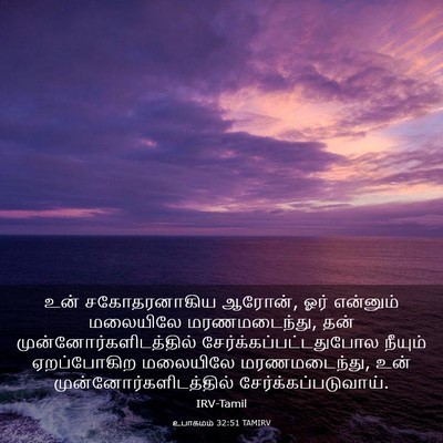 Picture 03 - உபாகமம் 32:51 TAMIRV - உன் சகோதரனாகிய - Bible Verse Picture