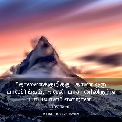 Picture 03 - உபாகமம் 33:22 TAMIRV - “தாணைக்குறித்து: - Bible Verse Picture
