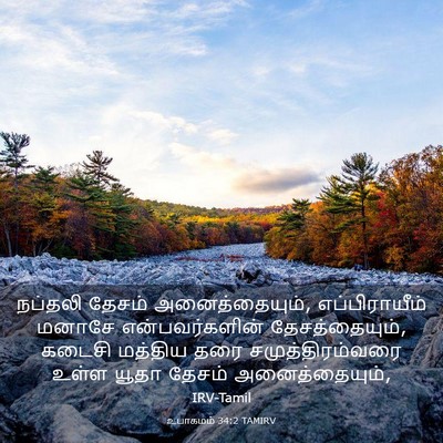 Picture 03 - உபாகமம் 34:2 TAMIRV - நப்தலி தேசம் - Bible Verse Picture
