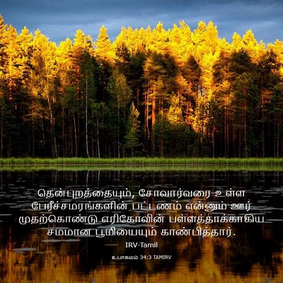 Picture 03 - உபாகமம் 34:3 TAMIRV - தென்புறத்தையும், - Bible Verse Picture