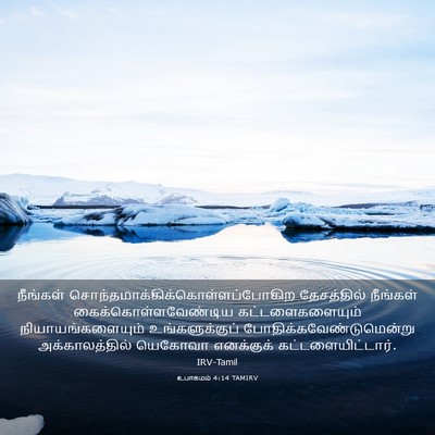 Picture 03 - உபாகமம் 4:14 TAMIRV - நீங்கள் - Bible Verse Picture