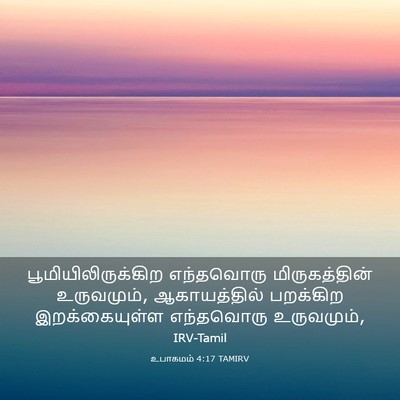 Picture 03 - உபாகமம் 4:17 TAMIRV - பூமியிலிருக்கிற - Bible Verse Picture