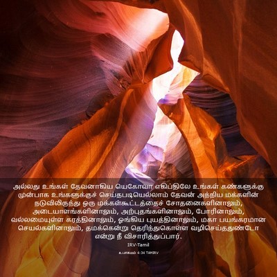 Picture 03 - உபாகமம் 4:34 TAMIRV - அல்லது உங்கள் - Bible Verse Picture