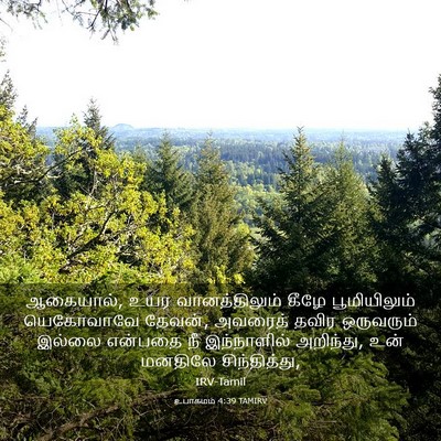 Picture 03 - உபாகமம் 4:39 TAMIRV - ஆகையால், உயர - Bible Verse Picture
