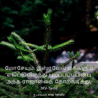 Picture 03 - உபாகமம் 4:46 TAMIRV - மோசேயும் இஸ்ரவேல் - Bible Verse Picture