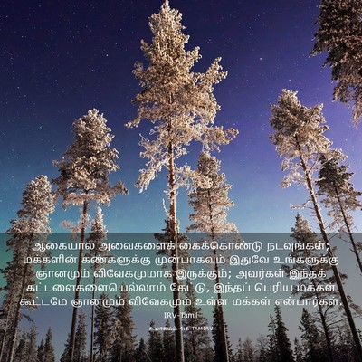 Picture 03 - உபாகமம் 4:6 TAMIRV - ஆகையால் அவைகளைக் - Bible Verse Picture