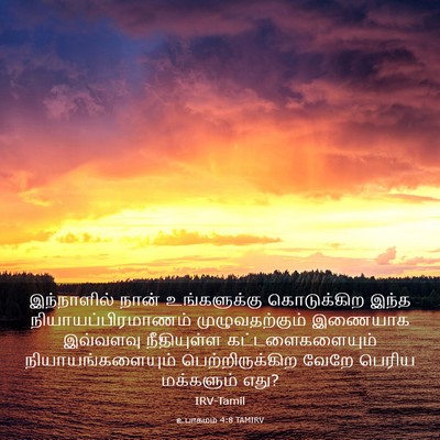 Picture 03 - உபாகமம் 4:8 TAMIRV - இந்நாளில் நான் - Bible Verse Picture