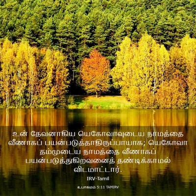 Picture 03 - உபாகமம் 5:11 TAMIRV - உன் தேவனாகிய - Bible Verse Picture
