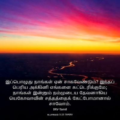 Picture 03 - உபாகமம் 5:25 TAMIRV - இப்பொழுது நாங்கள் - Bible Verse Picture