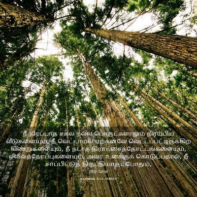 Picture 03 - உபாகமம் 6:11 TAMIRV - நீ நிரப்பாத சகல - Bible Verse Picture