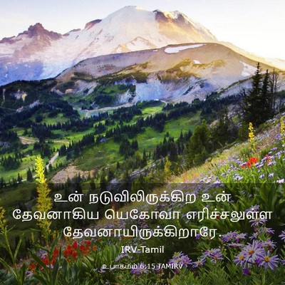Picture 03 - உபாகமம் 6:15 TAMIRV - உன் - Bible Verse Picture