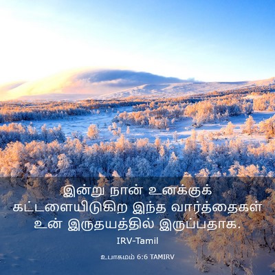 Picture 03 - உபாகமம் 6:6 TAMIRV - இன்று நான் - Bible Verse Picture