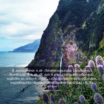 Picture 03 - உபாகமம் 6:7 TAMIRV - நீ அவைகளை உன் - Bible Verse Picture