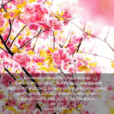 Picture 03 - உபாகமம் 7:10 TAMIRV - தம்மைப் - Bible Verse Picture