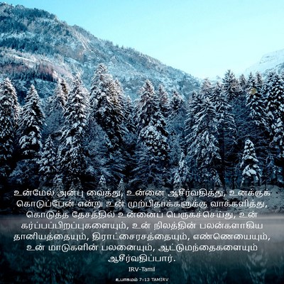 Picture 03 - உபாகமம் 7:13 TAMIRV - உன்மேல் அன்பு - Bible Verse Picture