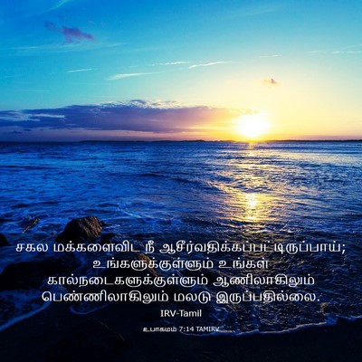 Picture 03 - உபாகமம் 7:14 TAMIRV - சகல மக்களைவிட நீ - Bible Verse Picture