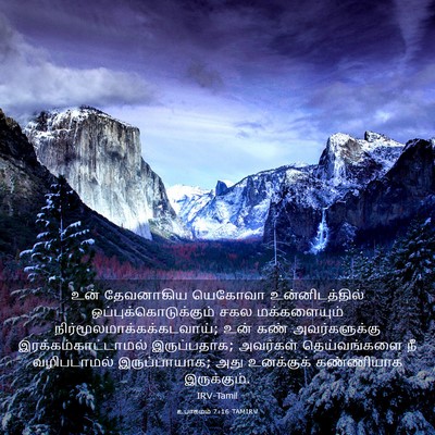 Picture 03 - உபாகமம் 7:16 TAMIRV - உன் தேவனாகிய - Bible Verse Picture