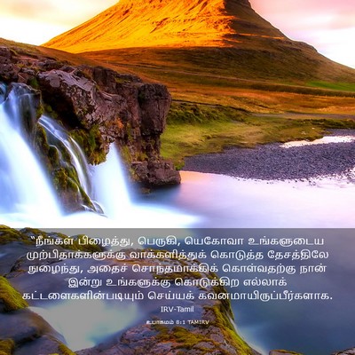 Picture 03 - உபாகமம் 8:1 TAMIRV - “நீங்கள் - Bible Verse Picture