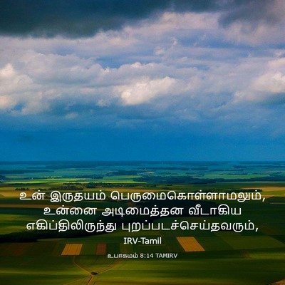 Picture 03 - உபாகமம் 8:14 TAMIRV - உன் இருதயம் - Bible Verse Picture