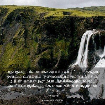 Picture 03 - உபாகமம் 8:9 TAMIRV - அது குறையில்லாமல் - Bible Verse Picture