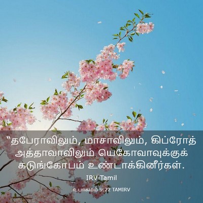 Picture 03 - உபாகமம் 9:22 TAMIRV - “தபேராவிலும், - Bible Verse Picture