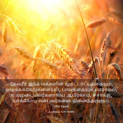 Picture 03 - உபாகமம் 9:28 TAMIRV - தேவரீர் இந்த - Bible Verse Picture