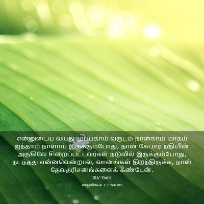 Picture 03 - எசேக்கியேல் 1:1 TAMIRV - என்னுடைய வயது - Bible Verse Picture