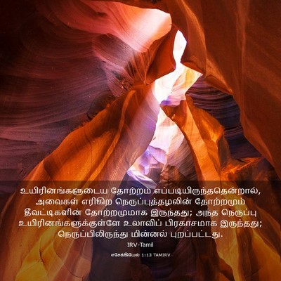 Picture 03 - எசேக்கியேல் 1:13 TAMIRV - உயிரினங்களுடைய - Bible Verse Picture