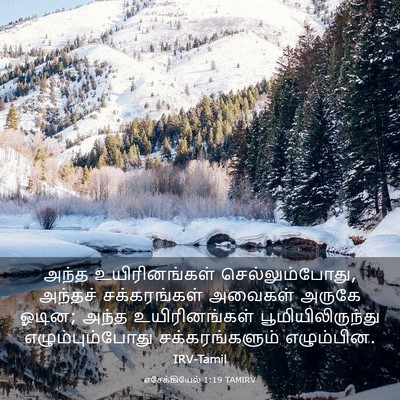 Picture 03 - எசேக்கியேல் 1:19 TAMIRV - அந்த உயிரினங்கள் - Bible Verse Picture