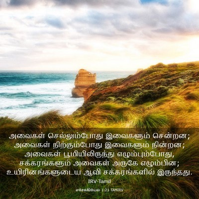 Picture 03 - எசேக்கியேல் 1:21 TAMIRV - அவைகள் - Bible Verse Picture