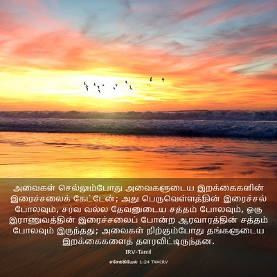 Picture 03 - எசேக்கியேல் 1:24 TAMIRV - அவைகள் - Bible Verse Picture