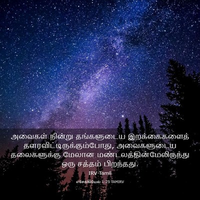 Picture 03 - எசேக்கியேல் 1:25 TAMIRV - அவைகள் நின்று - Bible Verse Picture