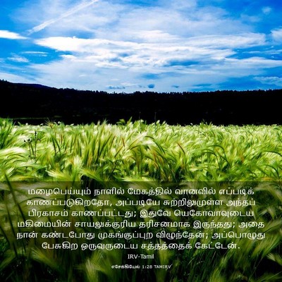Picture 03 - எசேக்கியேல் 1:28 TAMIRV - மழைபெய்யும் - Bible Verse Picture
