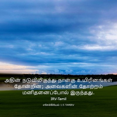 Picture 03 - எசேக்கியேல் 1:5 TAMIRV - அதின் - Bible Verse Picture