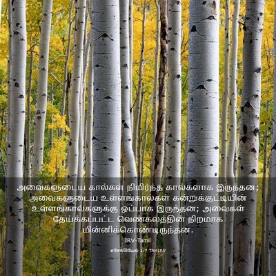 Picture 03 - எசேக்கியேல் 1:7 TAMIRV - அவைகளுடைய கால்கள் - Bible Verse Picture