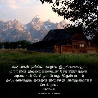 Picture 03 - எசேக்கியேல் 1:9 TAMIRV - அவைகள் - Bible Verse Picture