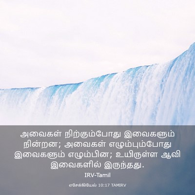 Picture 03 - எசேக்கியேல் 10:17 TAMIRV - அவைகள் - Bible Verse Picture