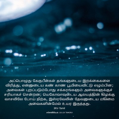Picture 03 - எசேக்கியேல் 10:19 TAMIRV - அப்பொழுது - Bible Verse Picture
